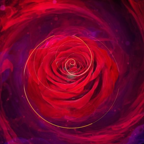 Dance the Sacred Geometry of the Rose